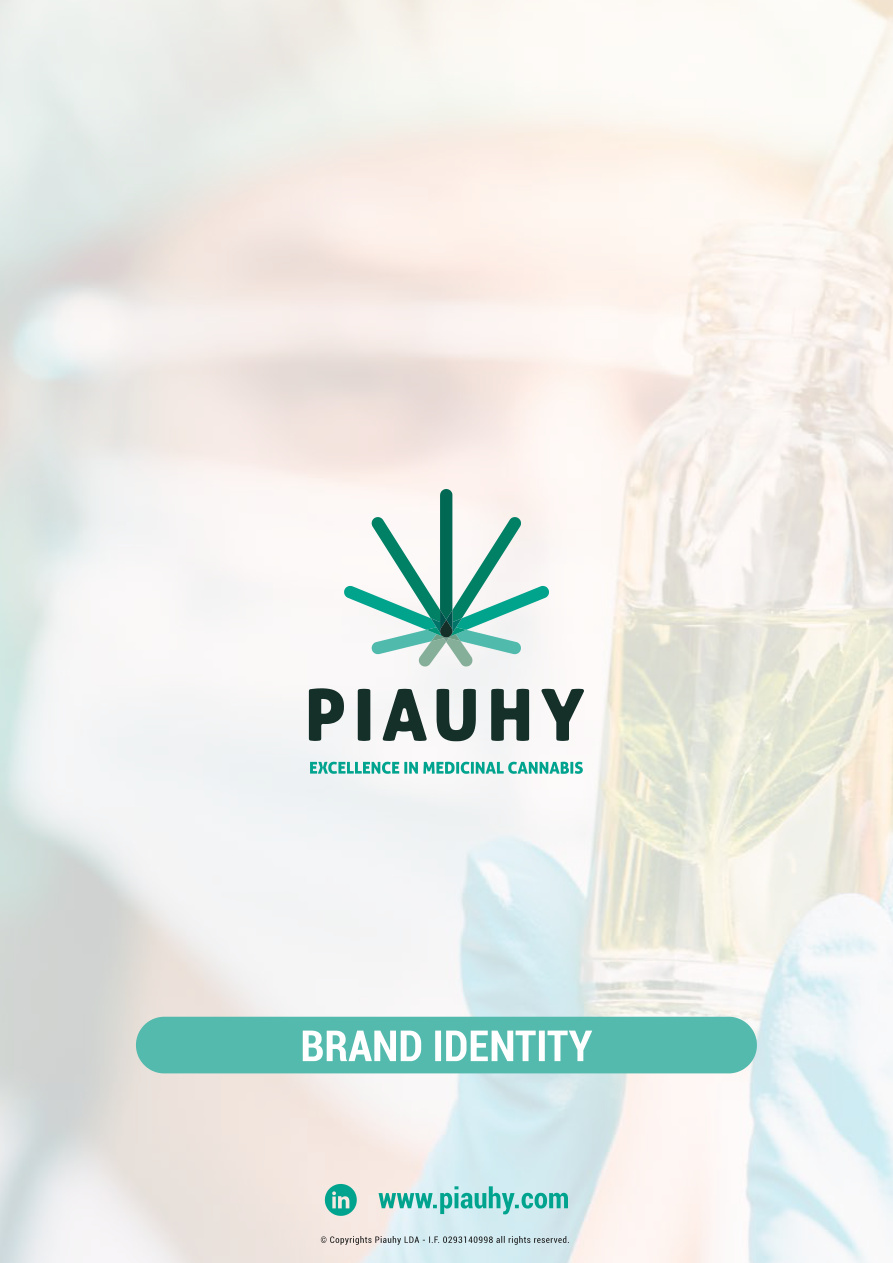 Piauhy Brand Book
